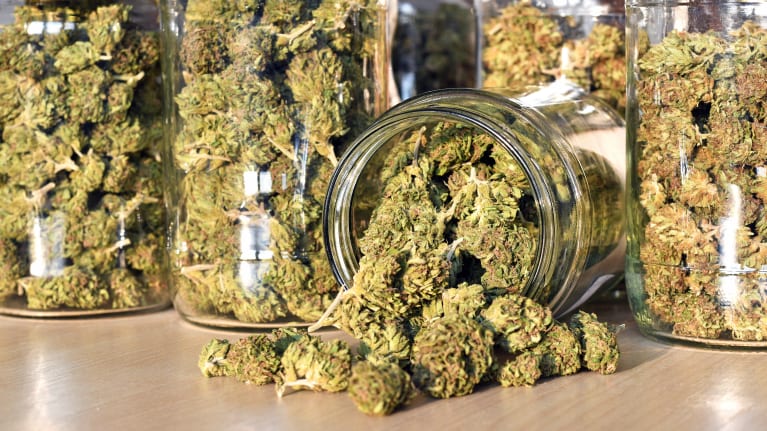 Weed delivery Brampton – Green Variety Cannabis- Green Variety Cannabis